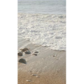 海景15