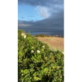 海景18