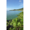 海景22