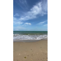 海景24