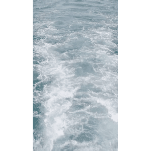 海景31