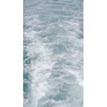 海景31