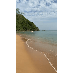 海景41