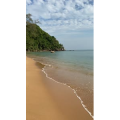 海景41