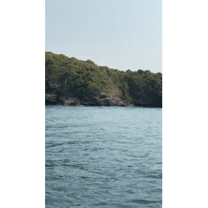 海景42