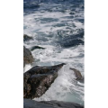 海景58