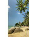 海景61