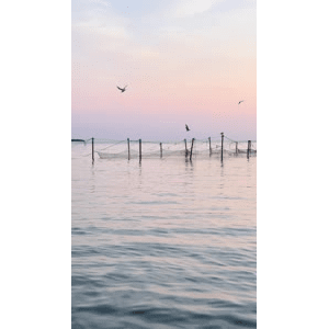 海景68