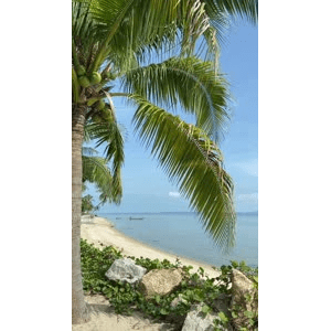 海景69