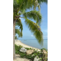 海景69