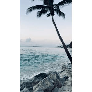 海景75
