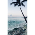 海景75