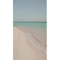 海景82