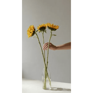 静物4
