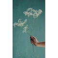 静物10