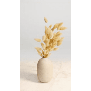 静物11