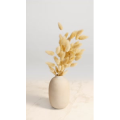 静物11