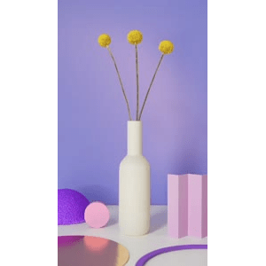 静物16
