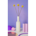静物16