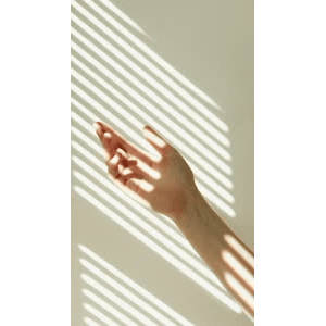 静物17