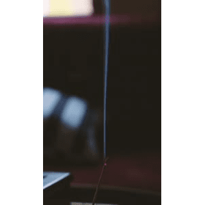 静物19