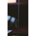 静物19