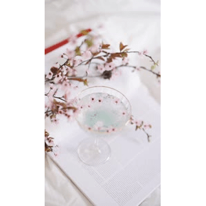静物25