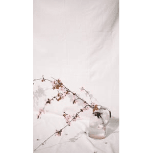 静物28