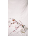 静物28