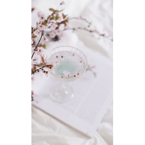 静物30