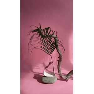 静物35