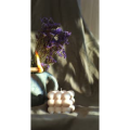 静物39