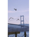 人物16