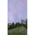人物19
