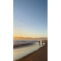 人物28
