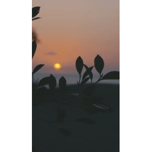 日出日落7