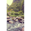 山水6