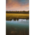 山水8