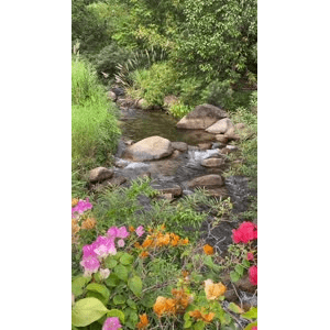 山水11