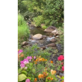 山水11