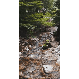 山水12