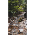 山水12