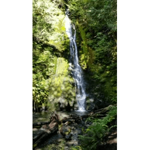山水15