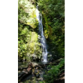 山水15