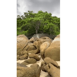 山水19