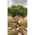 山水19
