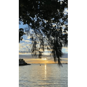 山水20