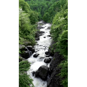 山水33