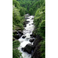 山水33
