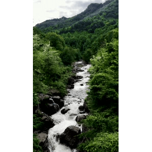 山水35